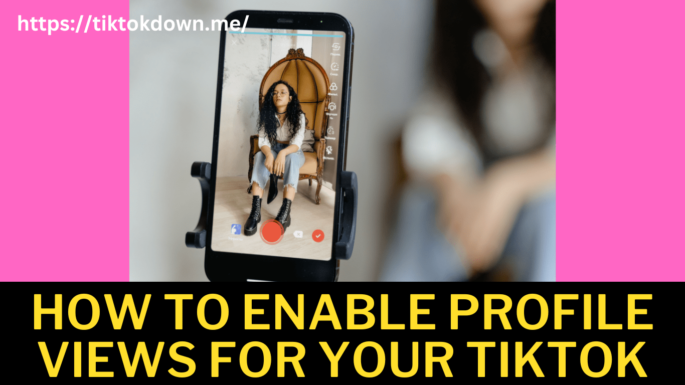 How To Enable Profile Views For Your TikTok Account