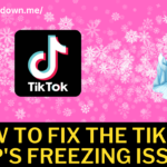How To Fix the TikTok app's freezing issue?