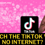 How To Watch The TikTok App With No Internet Connection?